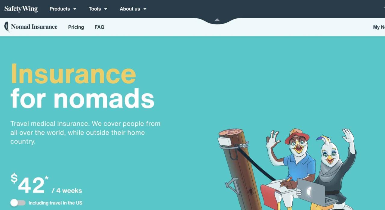 Insurance health workers remote nomads digital expats or